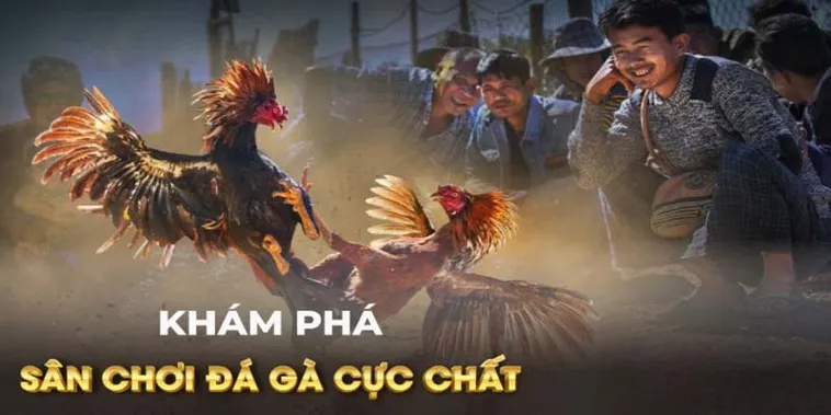 Tuyệt Chiêu Cách Chơi Đá Gà GA28 Tại Fan52 Bất Bại Mọi Kèo 1 Tuyệt Chiêu Cách Chơi Đá Gà GA28 Tại Fan52 Bất Bại Mọi Kèo
