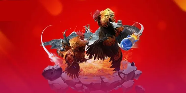 Trải Nghiệm Sảnh Cược Đá Gà Fan52 Đỉnh Cao Nhận Thưởng Lớn Mỗi Ngày