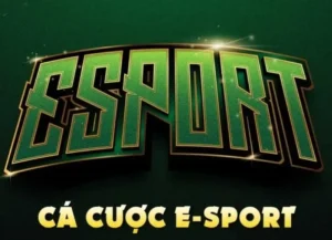 Bí Kíp Cách Chơi Thể Thao Điện Tử Tại Fan52 Nhận Thưởng Khủng Cực Nhanh